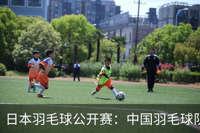 日本羽毛球公开赛：中国羽毛球队1冠1亚收官