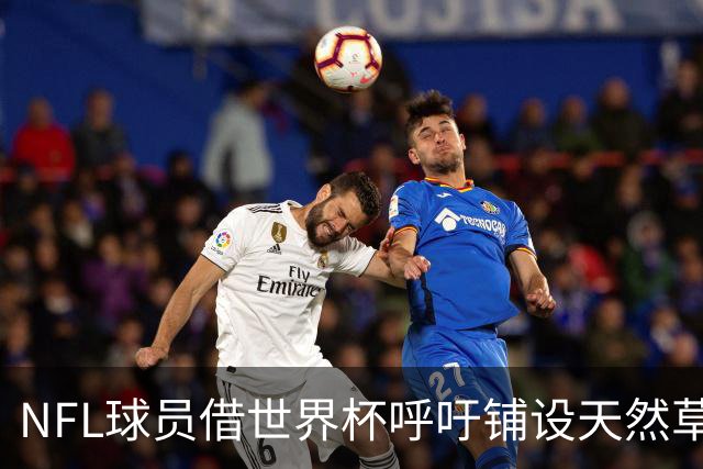 NFL球员借世界杯呼吁铺设天然草，专家：成本问题客观存在，可行性存疑